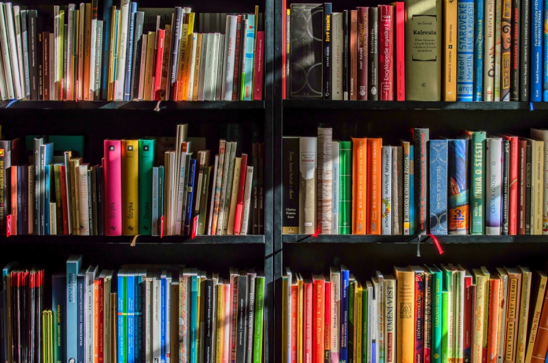 boutique-SOLLIES TOUCAS-min_books_bookstore_book_reading_shop_writer_sale_books_read-822866